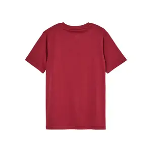 Children's T-shirt Quiksilver Ev Vista Logo image-2