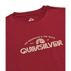 Children's T-shirt Quiksilver Ev Vista Logo image-3