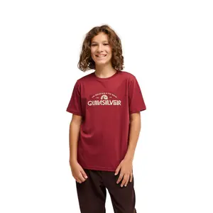 Children's T-shirt Quiksilver Ev Vista Logo image-1