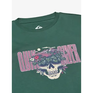 Children's T-shirt Quiksilver Paradise Point image-6