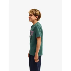 Children's T-shirt Quiksilver Paradise Point image-3
