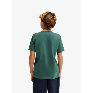 Children's T-shirt Quiksilver Paradise Point image-5
