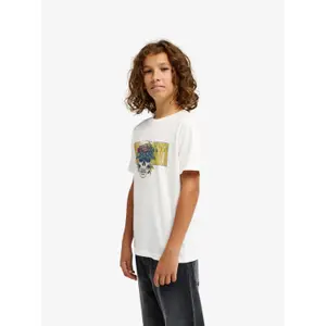 Children's T-shirt Quiksilver Paradise Point image-3