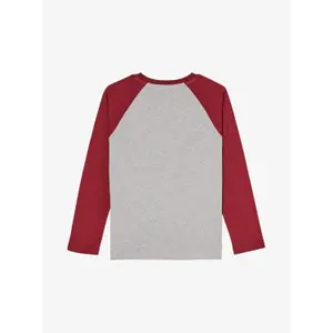 Long Sleeve T-Shirt Child Quiksilver EV Comp Raglan image-4