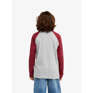 Long Sleeve T-Shirt Child Quiksilver EV Comp Raglan image-5