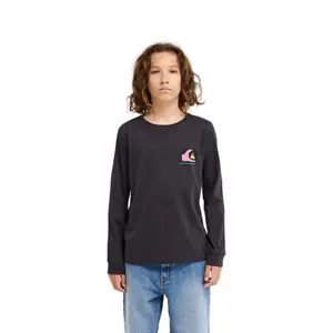 Loose Fit Long Sleeve T-shirt Child Quiksilver Kingpin image-1