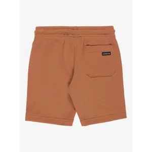 Κοντό παντελόνι παιδιού Quiksilver Easy Day image-1