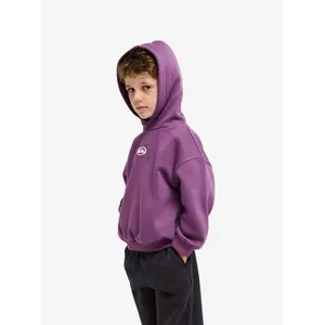 Child hoodie Quiksilver Tricks image-4