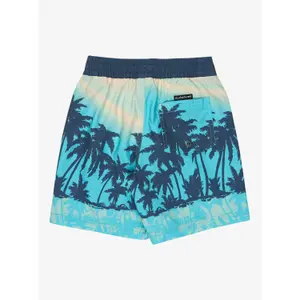 Kids Board shorts Quiksilver Everyday Printed Volley 13 image-1