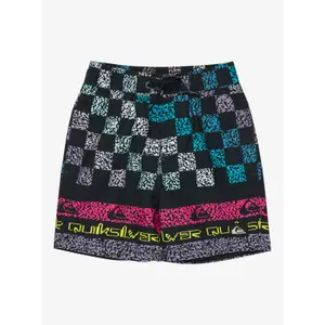 Kids Board shorts Quiksilver Everyday Printed Volley 13 image-0