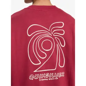 Sweatshirt woman Quiksilver Standard image-6