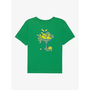 Organic cotton T-shirt for women Quiksilver Standard image-4