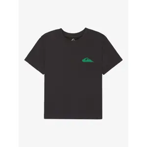 T-shirt βιολογικό βαμβάκι γυναίκες Quiksilver Standard image-0
