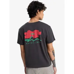 T-shirt βιολογικό βαμβάκι γυναίκες Quiksilver Standard image-5