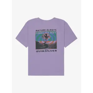 T-shirt βιολογικό βαμβάκι γυναίκες Quiksilver Standard image-4