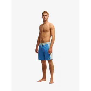 Board shorts Quiksilver Surfsilk Arch 18 image-4