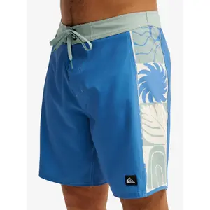 Board shorts Quiksilver Surfsilk Arch 18 image-5