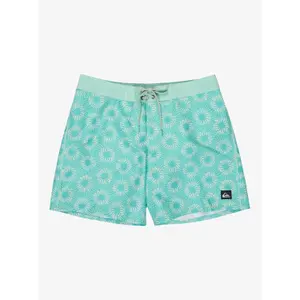 Board shorts Quiksilver Everyday Half Jam 16 image-0