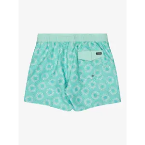 Board shorts Quiksilver Everyday Half Jam 16 image-3