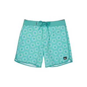 Board shorts Quiksilver Scallop image-0