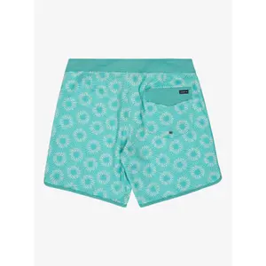 Board shorts Quiksilver Scallop image-2