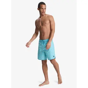 Board shorts Quiksilver Scallop image-4