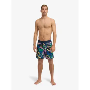 Board shorts Quiksilver Scallop image-2