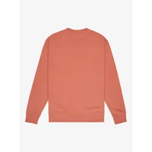 Cotton sweatshirt Quiksilver Salt Water image-3