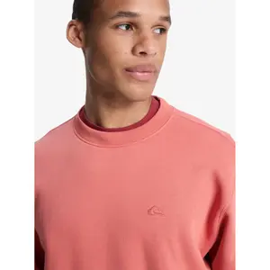 Cotton sweatshirt Quiksilver Salt Water image-5