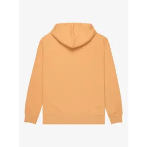 Hoodie Quiksilver Salt Water image-4
