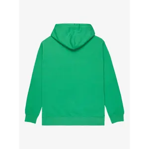Sweatshirt med huva Quiksilver Salt Water image-1