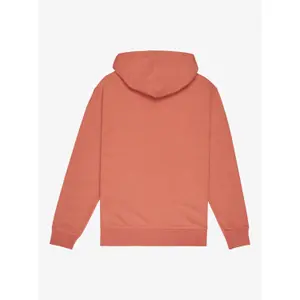 Sweatshirt med huva Quiksilver Salt Water image-1