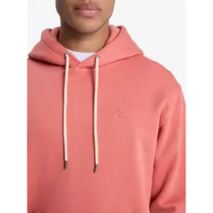 Sweatshirt med huva Quiksilver Salt Water image-4