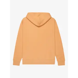 Zip-up hoodie Quiksilver Salt Water image-4