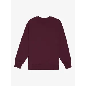 Sweatshirt Quiksilver Mercury Trident image-3