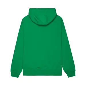 Sweatshirt à capuche Quiksilver Fineline image-1