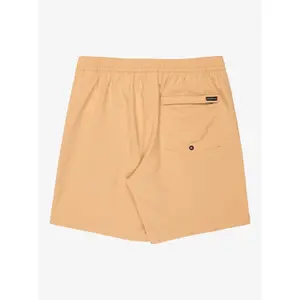 Short Quiksilver Taxer Amph image-3