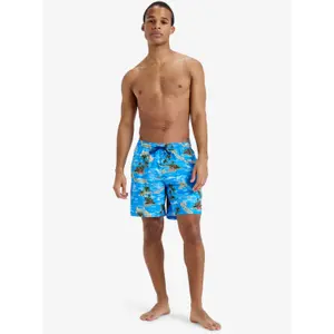 Μαγιό σορτς Quiksilver Everyday Straight Volley (17") image-5