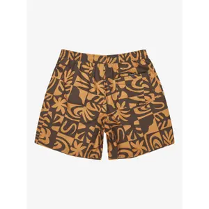 Μαγιό σορτς Quiksilver Everyday Straight Volley (17") image-6