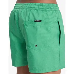 Σορτς σέρφινγκ Quiksilver Everyday Deluxe 15" image-6