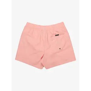 Calções de surf Quiksilver Everyday Deluxe 15" image-5
