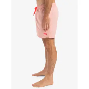 Calções de surf Quiksilver Everyday Deluxe 15" image-4