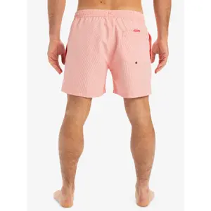 Calções de surf Quiksilver Everyday Deluxe 15" image-6