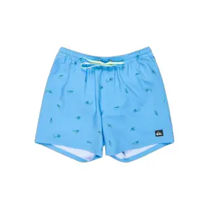 Board shorts Quiksilver Straight Volley image-0