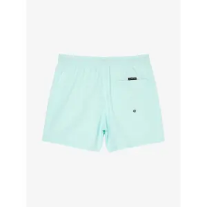 Surf shorts Quiksilver Everyday Volley 15" image-3
