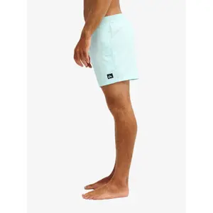 Surf shorts Quiksilver Everyday Volley 15" image-5