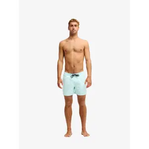 Surf shorts Quiksilver Everyday Volley 15" image-2