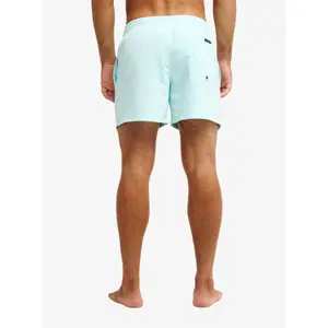 Surf shorts Quiksilver Everyday Volley 15" image-4