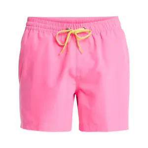 Short de bain Quiksilver Everyday Volley 15 image-1