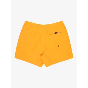 Surf shorts Quiksilver Everyday Volley 15" image-3